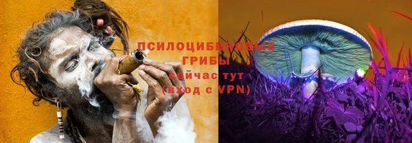 спиды Алексеевка
